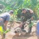 Babinsa Koramil 2303/Pulomerak, Karbak Pembangunan Drainase