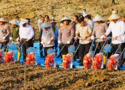 Kapolri: Pembiayaan Hingga Distribusi Jagung Akan Libatkan Koperasi Merah Putih