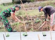 Babinsa Koramil 2306/Mancak, Bintahwil Pemeliharaan Tanaman