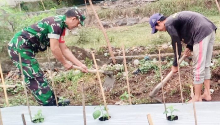 Babinsa Koramil 2306/Mancak, Bintahwil Pemeliharaan Tanaman