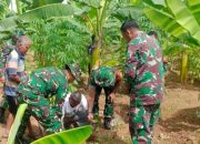 Babinsa Koramil 2302/Bojonegara, Bintahwil Melaksanakan Penanaman Pohon Alba