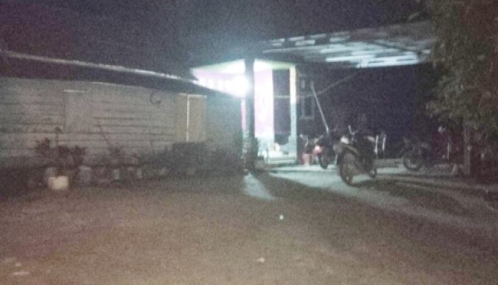 Aktivitas Ilegal Dilakukan di Kebun Sawit Belakang Rumah