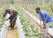 Babinsa Koramil 2306/Mancak, Bintahwil Perawatan dan Pemeliharaan Ketapang