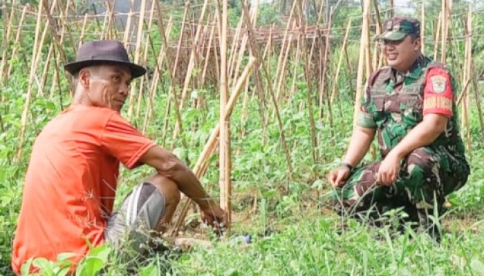 Babinsa Koramil 2302/Bojonegara Laksanakan Pendampingan Ketahanan Wilayah di Dua Desa