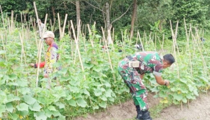 Koramil 2306/Mancak Aktif Laksanakan Pembinaan Teritorial di Wilayah Binaan