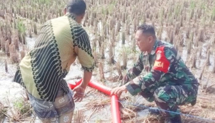 Babinsa Koramil 2305/Cinangka Aktif Dampingi Kegiatan Pertanian dan Lingkungan di Wilayah Binaan