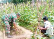 Babinsa Koramil 2306/Mancak Laksanakan Bintahwil, Dukung Pelestarian Alam dan Ketahanan Pangan