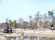 Akin, Ogik dan Gapuk Disebut Sebagai Penampung Timah Ilegal di Hutan Lindung Juru Seberang