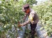 Brigadir Kateran Ajak Warga Arung Dalam Manfaatkan Lahan Kosong untuk Ketahanan Pangan