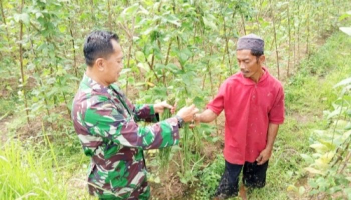 Babinsa Koramil 2306/Mancak Aktif Laksanakan Bintahwil, Dekatkan TNI dengan Warga dan Pelajar