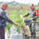 Babinsa Koramil 2306/Mancak Laksanakan Bintahwil Bersama Warga di Wilayah Pedesaan