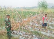 Menyambut HUT RI ke-80, Babinsa Koramil 2301/Cilegon Laksanakan Giat Komsos di Wilayah Binaan