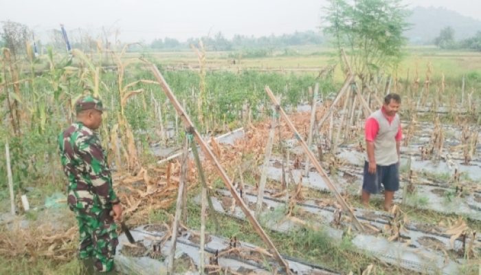 Menyambut HUT RI ke-80, Babinsa Koramil 2301/Cilegon Laksanakan Giat Komsos di Wilayah Binaan