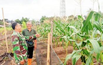 Babinsa Koramil 2305/Cinangka Aktif Laksanakan Bintahwil :  Tanamkan Wawasan Kebangsaan dan Dukung Ketahanan Pangan