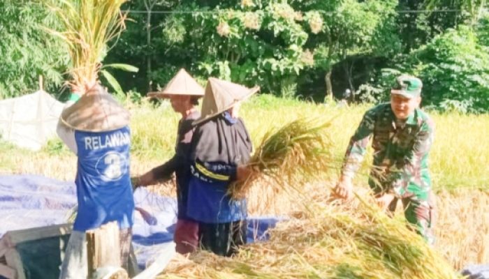 Babinsa Koramil 2306/Mancak Laksanakan Bintahwil, Perkuat Kemandirian dan Karakter Generasi Muda