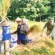 Babinsa Koramil 2306/Mancak Laksanakan Bintahwil, Perkuat Kemandirian dan Karakter Generasi Muda
