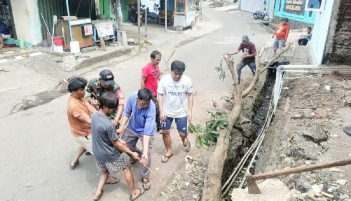 Babinsa Koramil 2303/Pulomerak Gelar Karya Bakti Bersama Warga di Dua Kelurahan