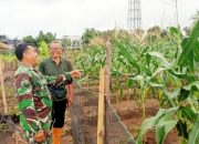 Kegiatan Pendampingan dan Pembinaan oleh Koramil 2305/Cinangka di Kecamatan Cinangka