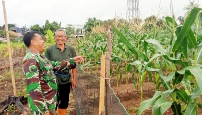 Kegiatan Pendampingan dan Pembinaan oleh Koramil 2305/Cinangka di Kecamatan Cinangka