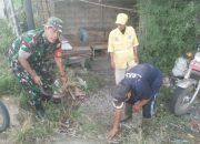 Babinsa Koramil 2303/Pulomerak Laksanakan Karya Bakti Bersama Warga di Dua Kelurahan