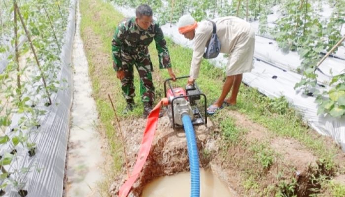 Babinsa Koramil 2305/Cinangka Laksanakan Pembinaan Teritorial di Bidang Bela Negara dan Ketahanan Pangan