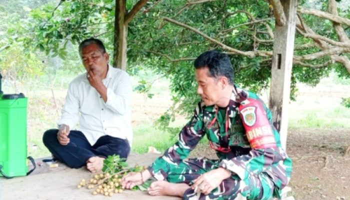 Babinsa Koramil 2305/Cinangka Gelar Komsos di Dua Desa Binaan