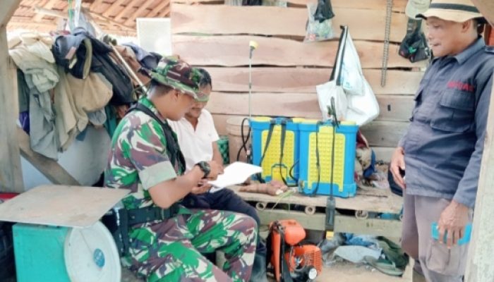 Babinsa Koramil 2304/Anyar Laksanakan Giat Puanter di Dua Desa Wilayah Binaan