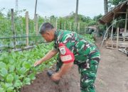 Babinsa Koramil 2301/Cilegon Gencarkan Pendampingan Hanpangan Lewat Kegiatan Bintahwil
