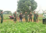 Babinsa Koramil 2302/Bojonegara Laksanakan Pembinaan Ketahanan Wilayah di Dua Desa