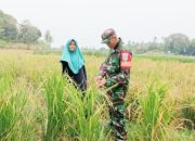 Babinsa Koramil 2304/Anyar Gelar Kegiatan Bintahwil di Desa Bandulu dan Desa Grogol