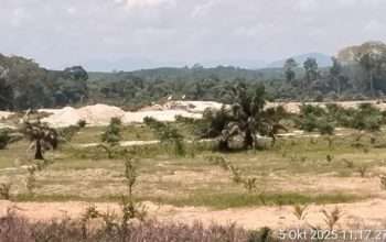Sungai Singingi Tercemar, PETI Marak: Laporan dari Desa Sungai Paku