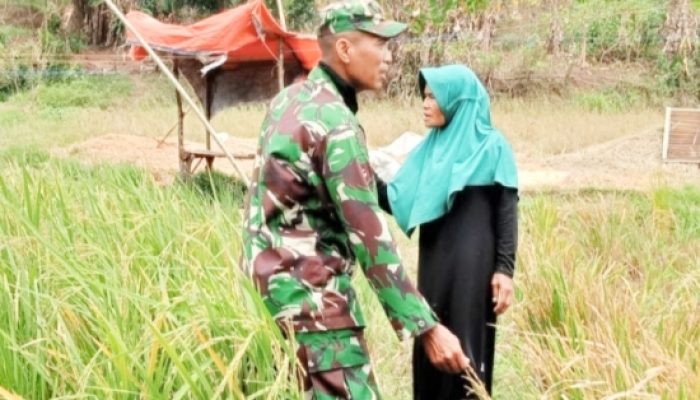 Babinsa Koramil 2304/Anyar Laksanakan Kegiatan Bintahwil di Kecamatan Anyar