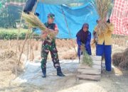 Babinsa Koramil 2306/Mancak Laksanakan Bintahwil, Tanamkan Wawasan Kebangsaan dan Dukung Ketahanan Pangan
