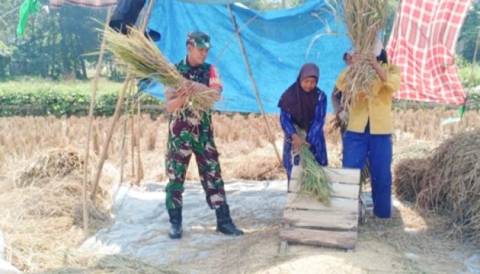 Babinsa Koramil 2306/Mancak Laksanakan Bintahwil, Tanamkan Wawasan Kebangsaan dan Dukung Ketahanan Pangan