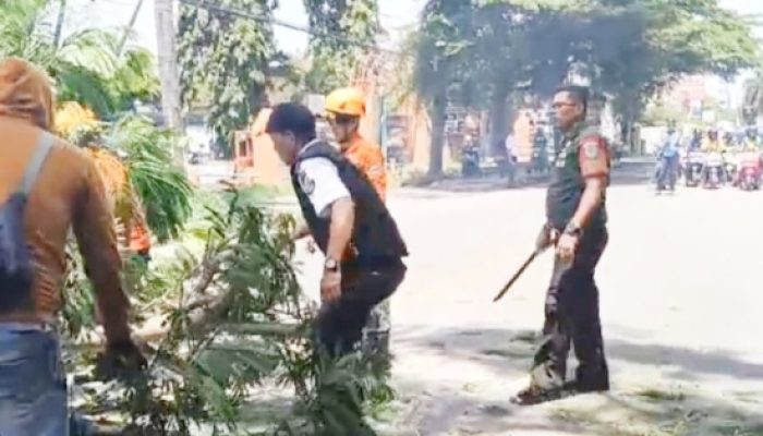 Babinsa Koramil 2301/Cilegon Bersama Warga dan Aparat Gabungan Laksanakan Karya Bhakti Pembersihan Pohon Tumbang Akibat Cuaca Ekstrem