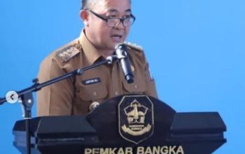 Aplikasi SEDULANG Dongkrak Pendapatan Pajak Daerah Bangka