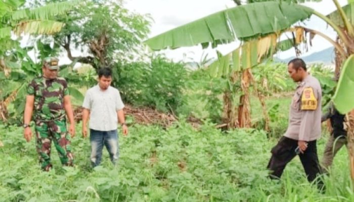 Babinsa Koramil 2302/Bojonegara Gelar Pembinaan Wilayah Serentak di Dua Desa