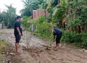 Menanam Lombok di Jalan Rusak, Warga Canrego Menanti Kepedulian Pemerintah: Harapan pada “Cepat Berpikir, Cepat Bertindak, Cepat Hasilnya”
