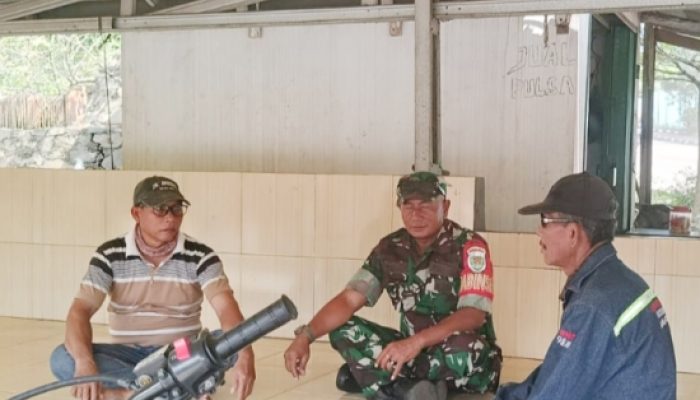 Babinsa Koramil 2303/Pulomerak Perkuat Keamanan Wilayah Lewat Komsos di Dua Kelurahan