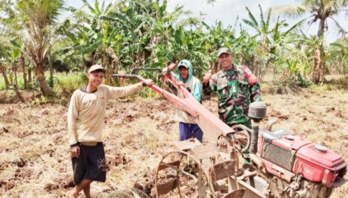 Koramil 2302/Bojonegara Dampingi Warga Olah Lahan di Dua Desa untuk Perkuat Ketahanan Wilayah