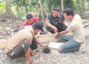 Babinsa Koramil 2306/Mancak Gelar Kegiatan Karbak, Wujud Kepedulian TNI pada Infrastruktur dan Kebersihan Desa