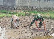Babinsa Koramil 2302/Bojonegara Laksanakan Pendampingan Tahwil di Dua Lokasi