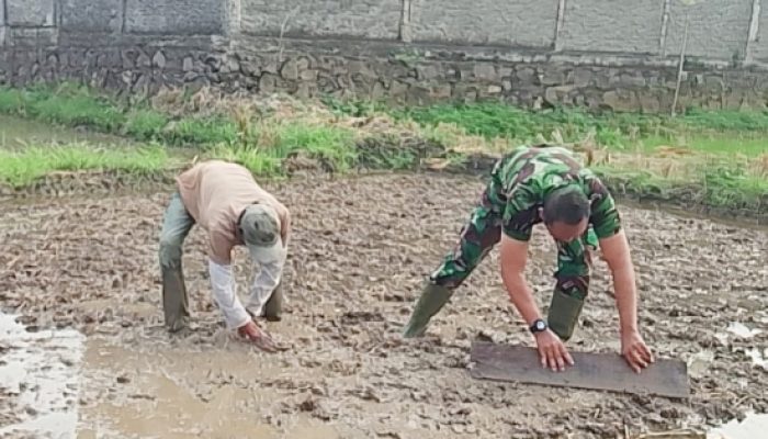 Babinsa Koramil 2302/Bojonegara Laksanakan Pendampingan Tahwil di Dua Lokasi