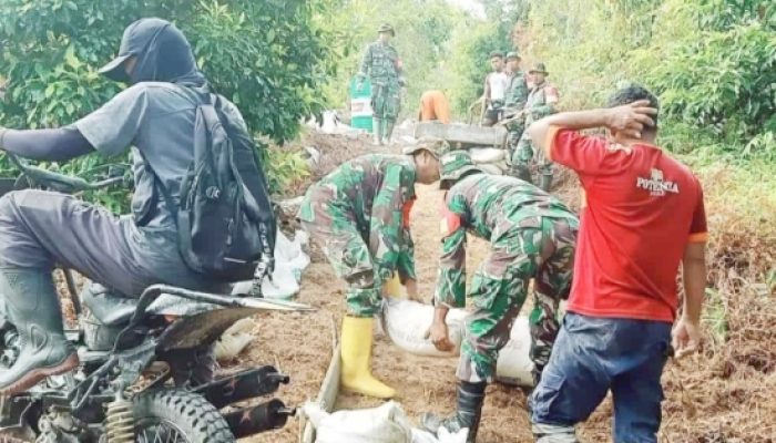 TNI Bangun 10,5 Km Jalan di Sulteng Hanya 1 Bulan, Kolaborasi dengan Warga