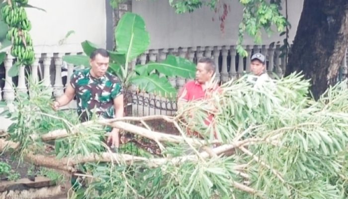 Sigap Tanggap Bencana, Babinsa Koramil 2301/Cilegon Gelar Karya Bakti Pasca Pohon Tumbang