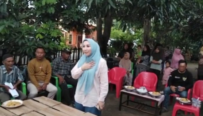 Wujud Kepedulian Wakil Rakyat, Hj. Fadilah Fahriana Salurkan Bantuan Pertanian untuk Petani Desa  Topejawa
