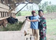 Babinsa Koramil 2305/Cinangka Gotong Royong Bantu Pembangunan Rumah dan Saluran Air Warga