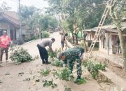 Babinsa Koramil 2305/Cinangka Gelar Karya Bakti, Bantu Warga Pangkas Pohon dan Rehab Rumah