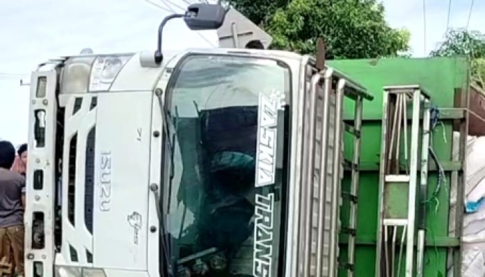 Truk Isuzu Muat Pakan Ayam (AD) Terguling di Jeneponto, Ban Meletus Lalu Tanah Ambruk