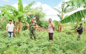 Babinsa Koramil 2305/Cinangka Laksanakan Puanter, Pantau Harga Sembako di Dua Desa